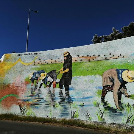 Venancio Alojamento Daire Alcácer do Sal Dış mekan fotoğraf